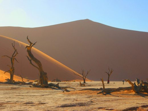 Breathtaking view of the barren desert landscape in Deadvlei, Sossusvlei, Namibia with iconic dead trees and towering sand dunes.