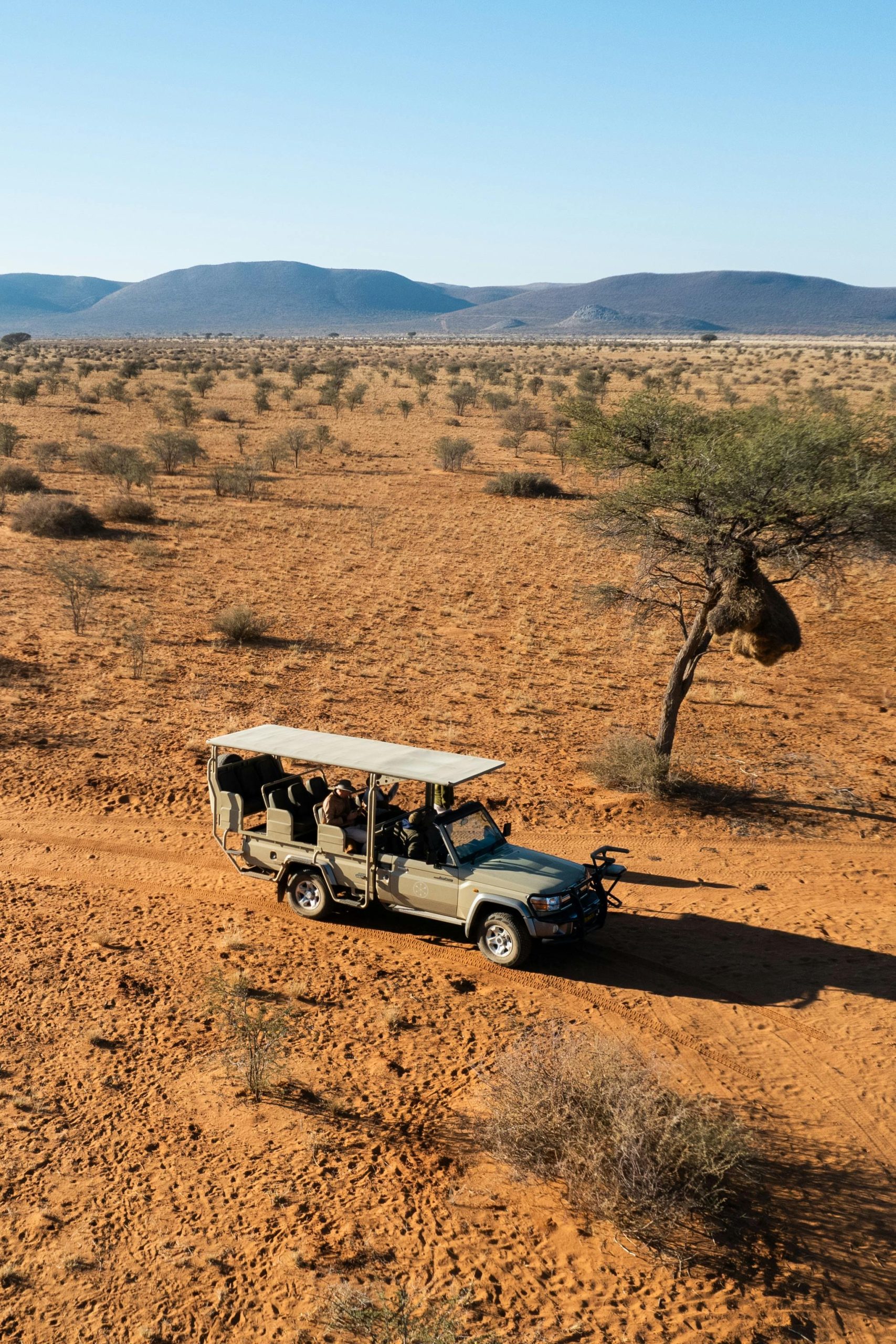 A safari jeep travels through Namibia's picturesque desert, capturing adventure and wildlife.