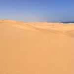 whatsapp image 2026 03 03 at 16.13.59 (6)